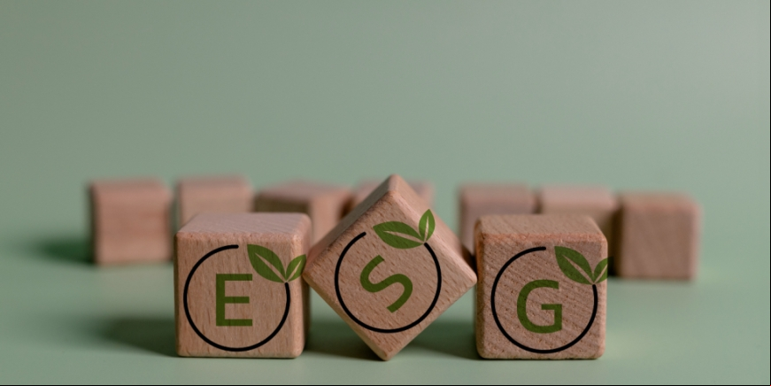 A verdade sobre ESG que todo executivo precisa saber