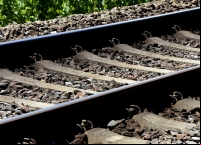 Governo federal estudará uso de PPPs para ferrovias